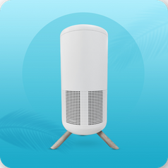 <strong>AIR PURIFIER</strong>